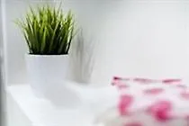 Apartmán Royal Piazza *